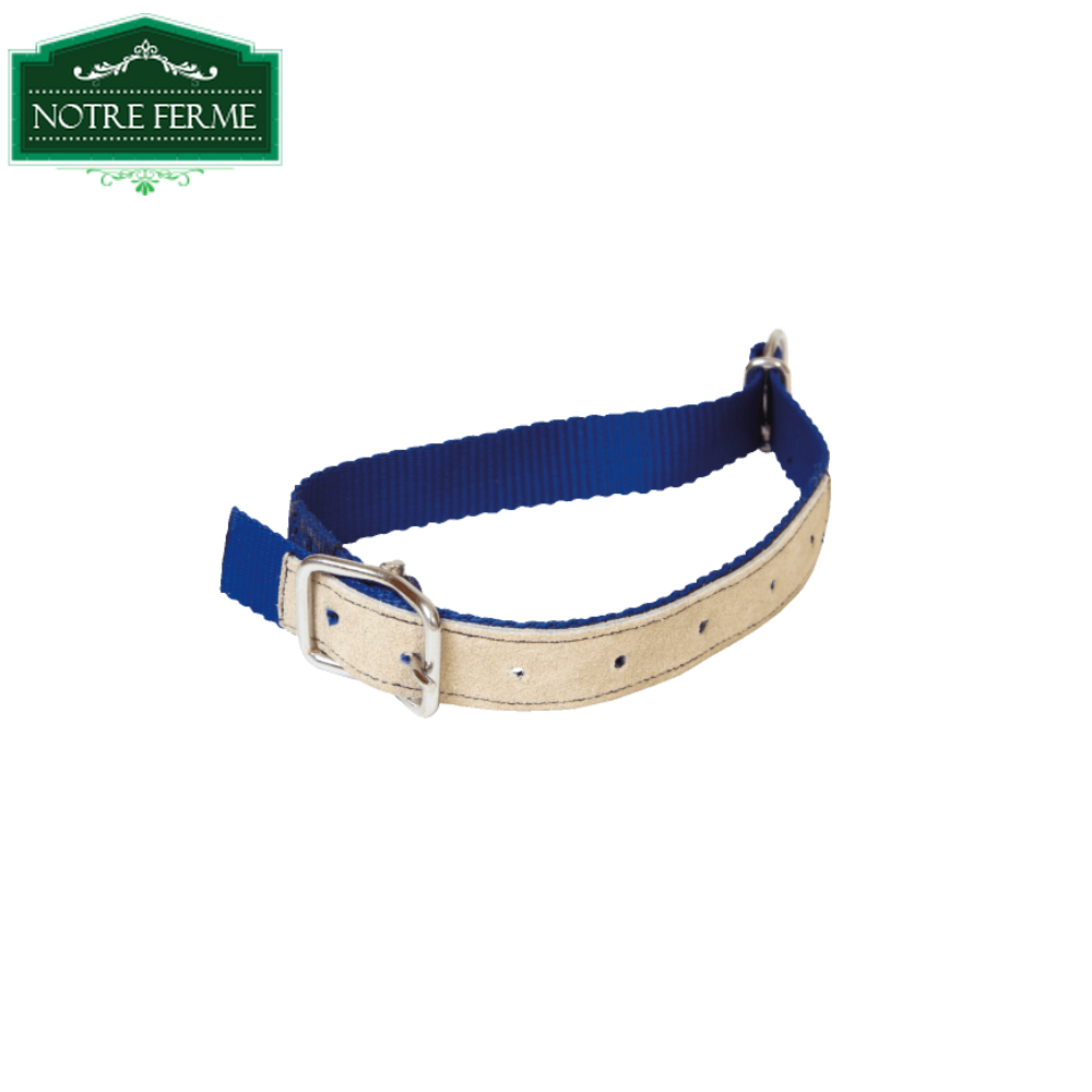 COLLIER MOUTON Notre Ferme Tunisie COLLIER MOUTON Notre Ferme Tunisie